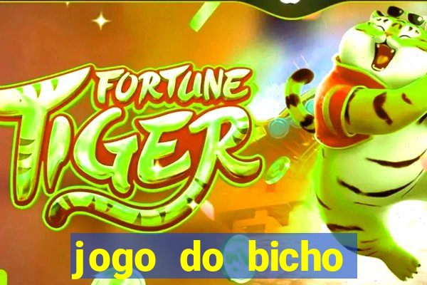 jogo do bicho crash bingo